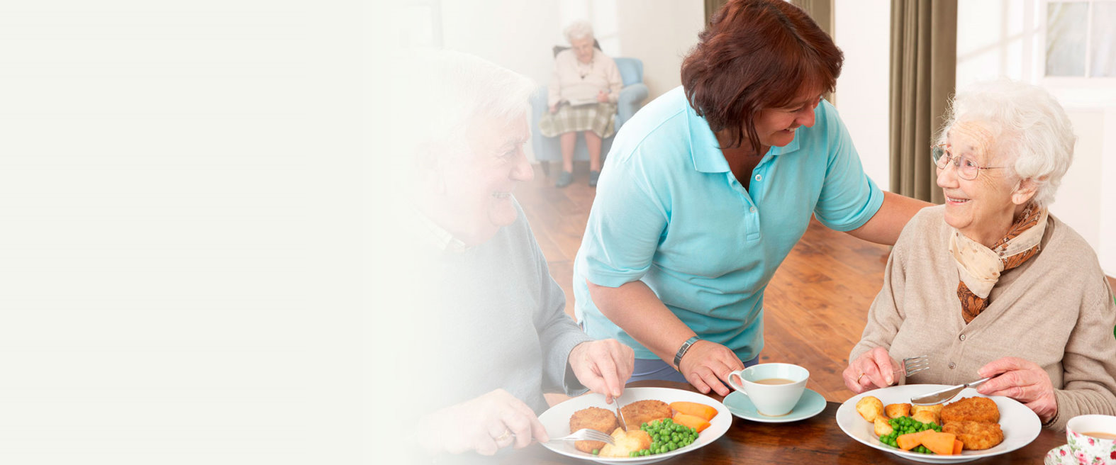 Welcome to Meals America. Premium Meals for Seniors on Medicare & Medicaid